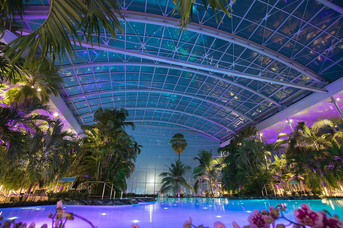 Therme București, Therme Bucharest, Θέρμε Βουκουρέστι, Ρουμανία, Βουκουρέστι, Ιαματικά Λουτρά, λουτρά, θερμά λουτρά, γεωθερμικό νερό, θερμαλισμός, σάουνα, Aufguss, wellness, ευεξία, υγεία, ψυχική υγεία, σώμα και υγεία, ταξίδια, ιαματικός τουρισμός, Ιαματικά Ταξίδια, Κωνσταντίνος Βαϊτσαράς, ΙΑΜΑΤΟΓΡΑΦΙΑ, Elysium, The Palm, θερμικό νερό, spa Ρουμανία.